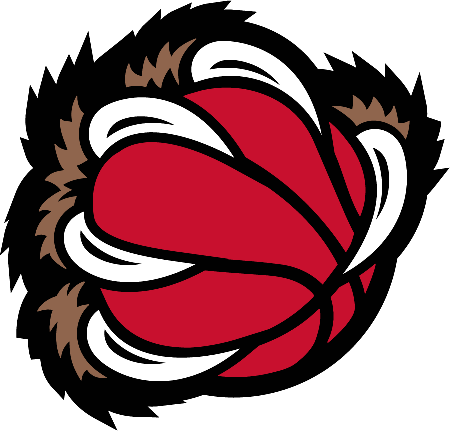 Memphis Grizzlies 2001-2004 Alternate Logo fabric transfer version 2